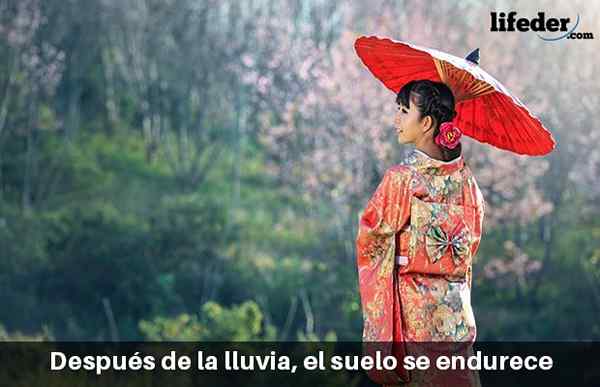 100 beaux proverbes japonais