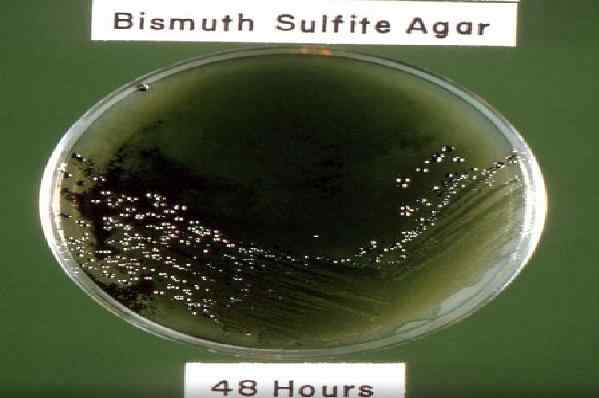 Agentúra sulfitu bizmutu, príprava a použitie