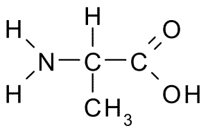 Alanina -egenskaper, struktur, funktioner, biosyntes