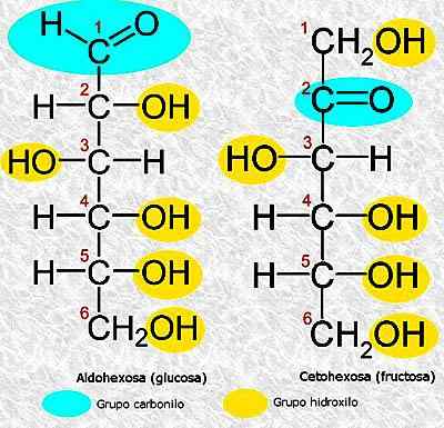 Structure moléculaire aldohexosa et exemples