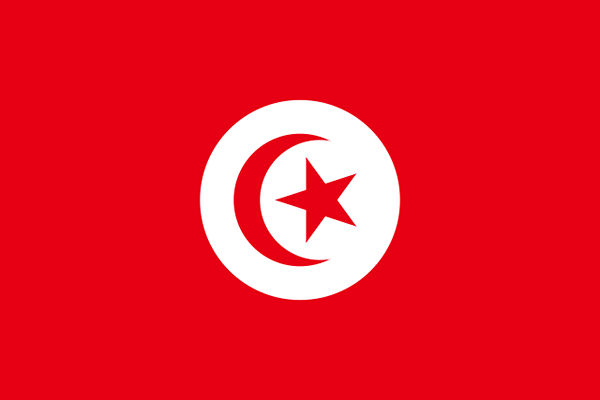 Bandiera della storia e del significato della Tunisia