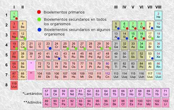 Bioceëlementenclassificatie (primair en secundair)