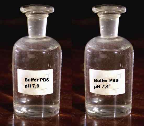 Podkład buforu fosforanowego (PBS), przygotowanie i zastosowania