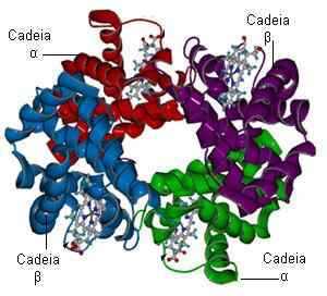 Charakterystyka i efekty karboksyhemoglobiny