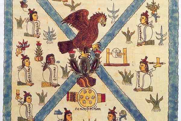 Mendocino Codex Origin en auteurschap, kenmerken, inhoud