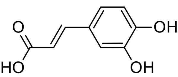 Structure d'acide du café, propriétés, biosynthèse, utilisations