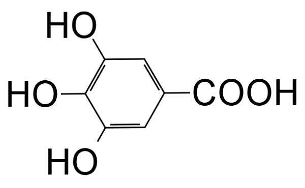 Structure d'acide galique, propriétés, obtention, utilisations