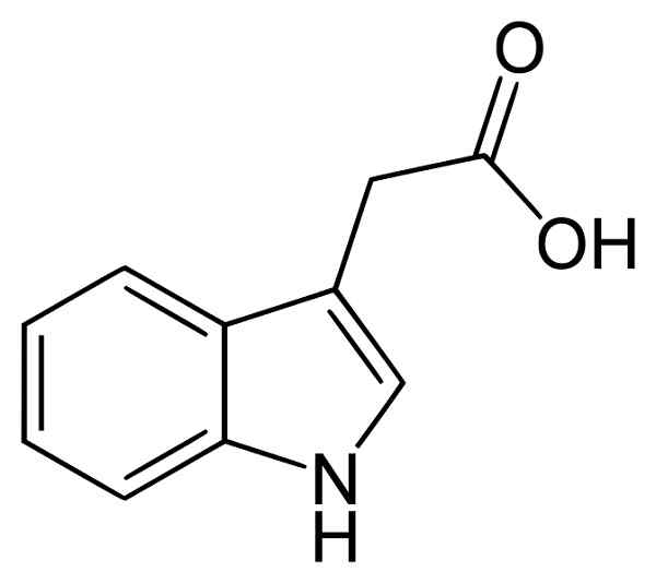 Indolaletic Acid Structure, Egenskaper, erhållning, användning