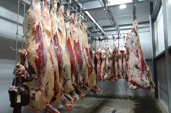 Circuit productif des étapes principales de la viande