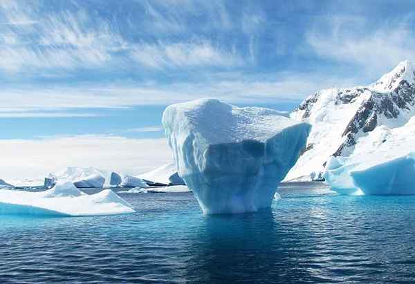 Polart klimaplassering, egenskaper, typer, fauna, flora