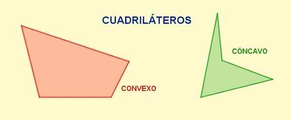 Elementos quadrilaterais, propriedades, classificação, exemplos