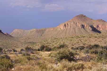 Značilnosti puščave Chihuahua, olajšanje, flora, favna