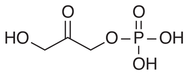 Características e aplicações de fosfato de di -hidroxiacetona (DHAP)