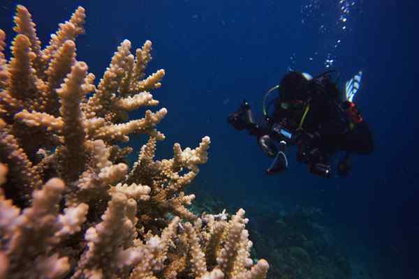 História da ecologia marinha, fatores de risco, publicações