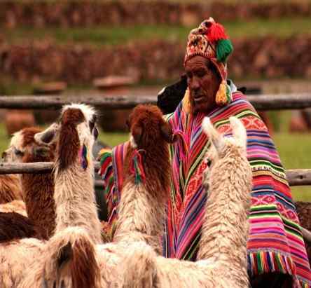 Organisation de l'économie InCA, bases et activités de l'Empire