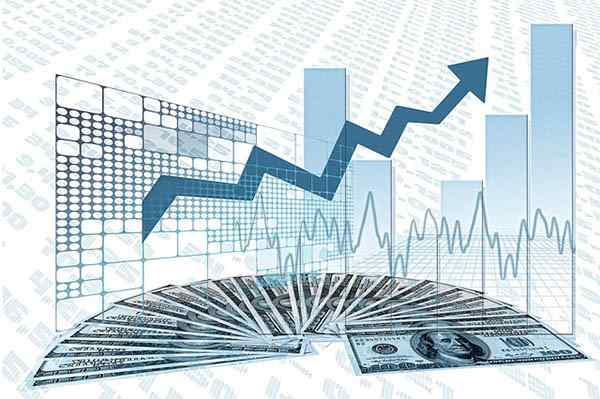 Economische entiteitsconcept, typen, middelen, voorbeeld