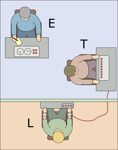 Milgram Experiment -Methodik, Variablen, Ergebnisse, Kritik