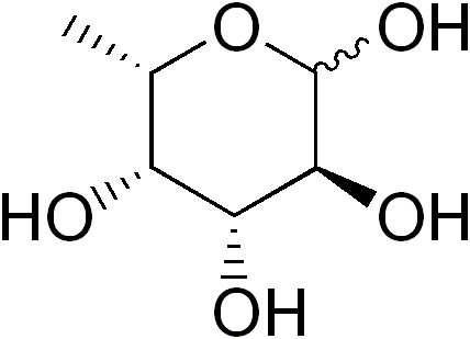 Charakterystyka fucosa, struktura, funkcje