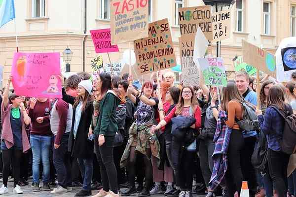 Koncepcia sociálnych faktov, príklady a aplikácie