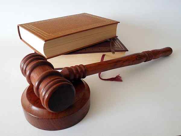 Juridiska institutioner historia, klassificering, exempel