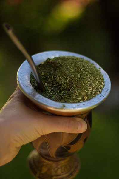 La légende des activités et dynamiques de Yerba Mate pour les enfants