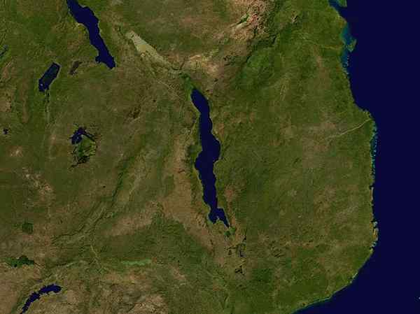 Malawi Lago Geography, Geology, Belang, Fauna, Rios