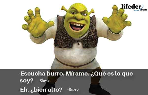 Les 100 meilleures phrases Shrek