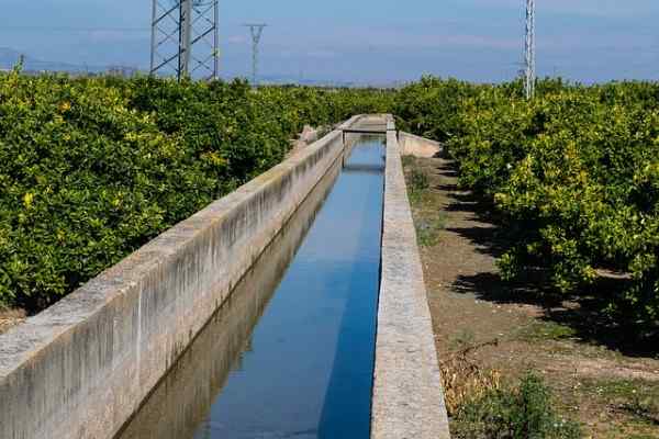 Numero di frow come viene calcolato e esempi