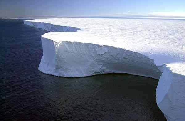 Antarctische Oceaan geologische oorsprong, weer, flora en fauna