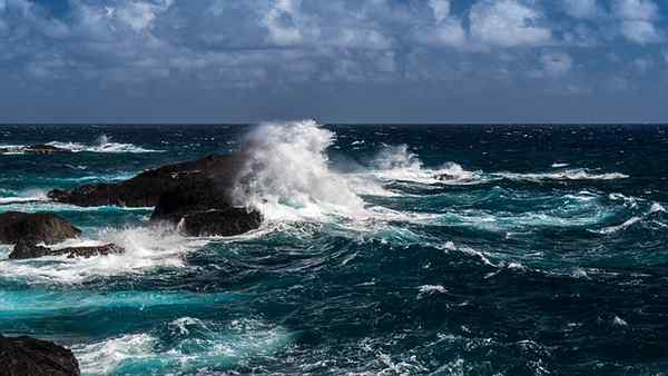Atlantische Oceaan geologische oorsprong, kenmerken, flora en fauna