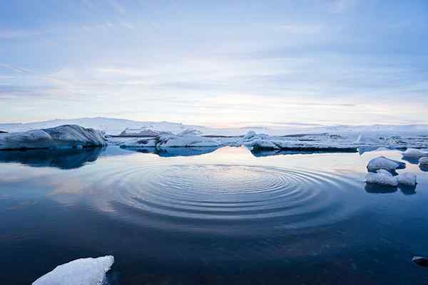 Geologische Herkunft, Klima, Flora und Fauna aus Arktis Ozean