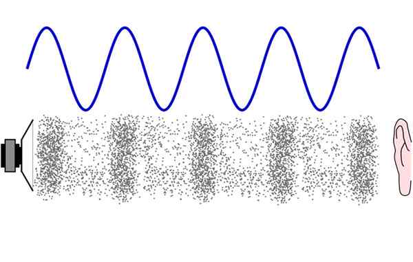 Onde longitudinali, differenze, esempi