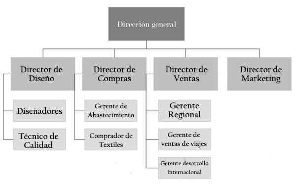 Organisationsdiagramm eines Unternehmens für Kleidung und Funktionen