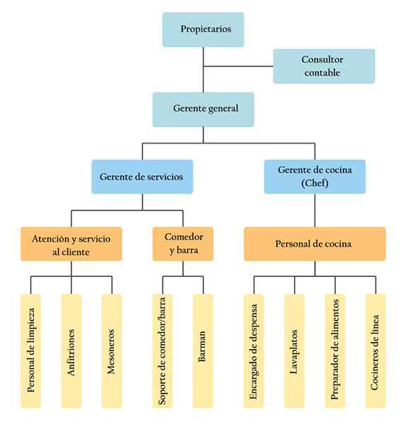 Organisatiegrafiek van een structuur- en voorbeelddienstenbedrijf