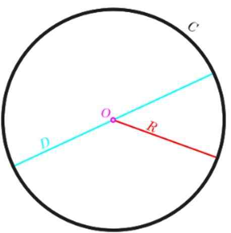 Perimeter van de cirkel hoe het eruit te krijgen en formules, opgeloste oefeningen