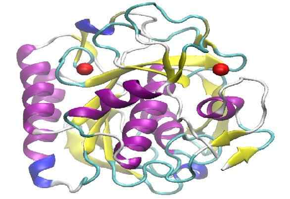 Proteinas K -egenskaper, enzymatisk aktivitet, applikationer