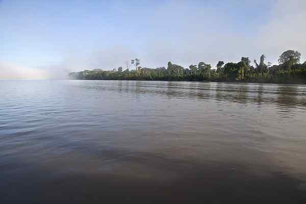 Amazonas region av Ecuador -egenskaper, provinser, kulturer