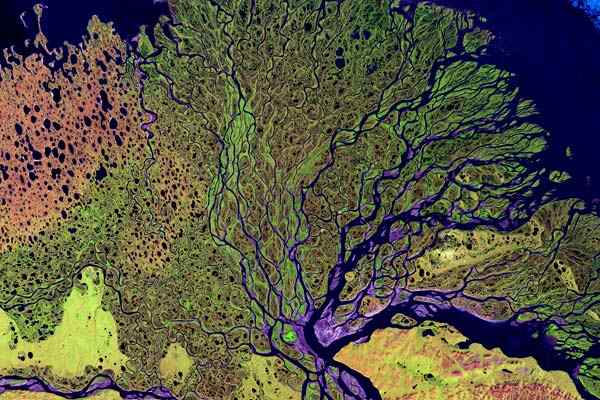 Karakteristik Sungai Lena, Mulut, Polusi