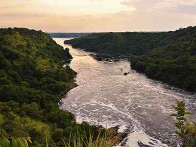 Río Nilon historia, ominaisuudet, reitti, sivujoki, kasvisto, eläimistö