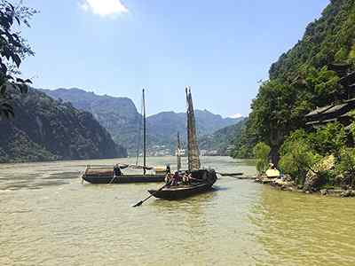 Yangtsé River, egenskaper, turné, bifloder, flora