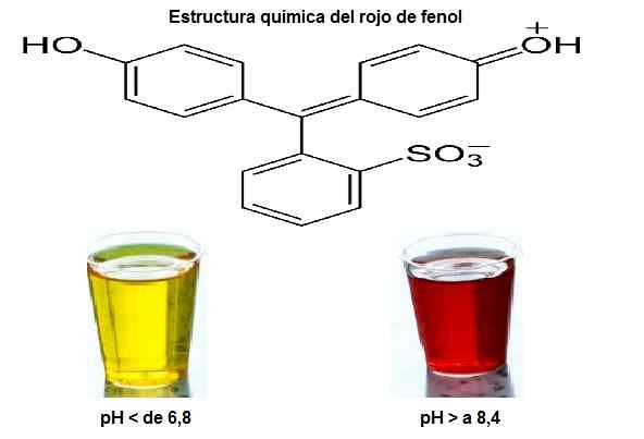 Fenol rdeče značilnosti, priprave, aplikacije