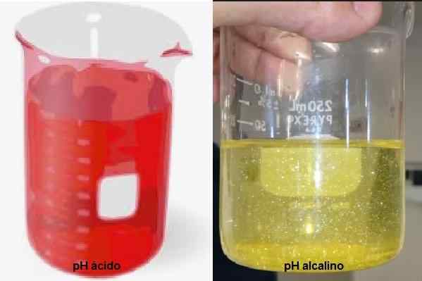 Características do vermelho metilo, preparação e aplicações