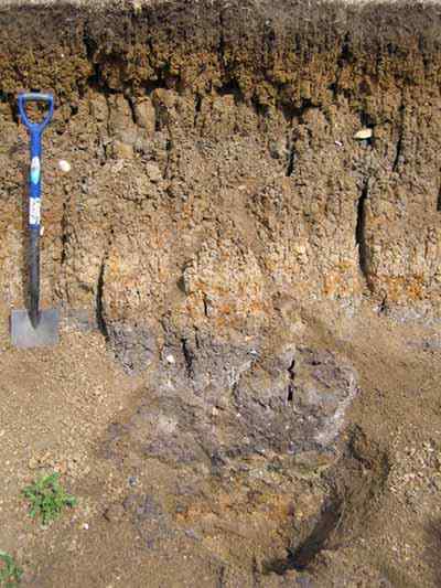 Karakteristik tanah alluvial, geologi, sifat, penggunaan