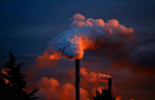 Industrielle toxikologische Objekt der Studie, Bedeutung, Methoden