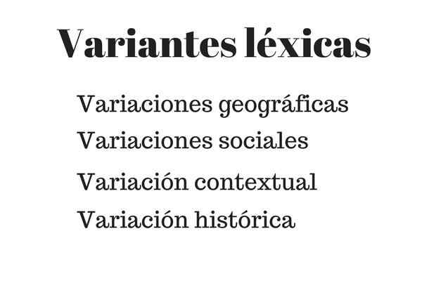 Typen und Beispiele für lexikalische Varianten