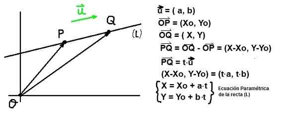 Vector Director Equation of the Line, Solved Exercises