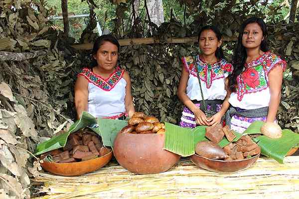 +72 mots à Maya et sa signification en espagnol