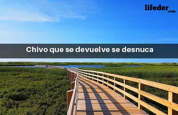 95 provérbios e disseram venezuelanos e seu significado