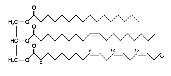 Acylglyceridenkenmerken, structuur, typen, functies