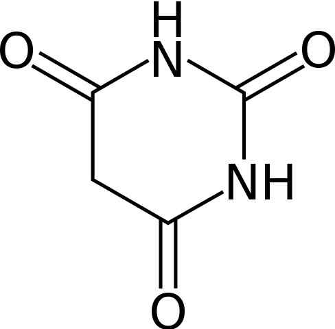 Barbiturici caratteristici, meccanismo d'azione ed effetti